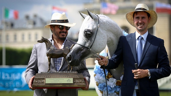 Al Zobair Stud Rocked the AHO World Cup!